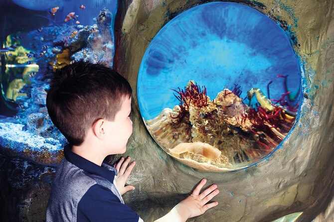 SEA LIFE Timmendorfer Strand Admission Ticket - Location and Transportation