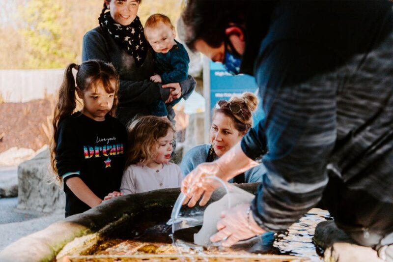 Sea Life Weymouth Admission Ticket - Highlights at Sea Life