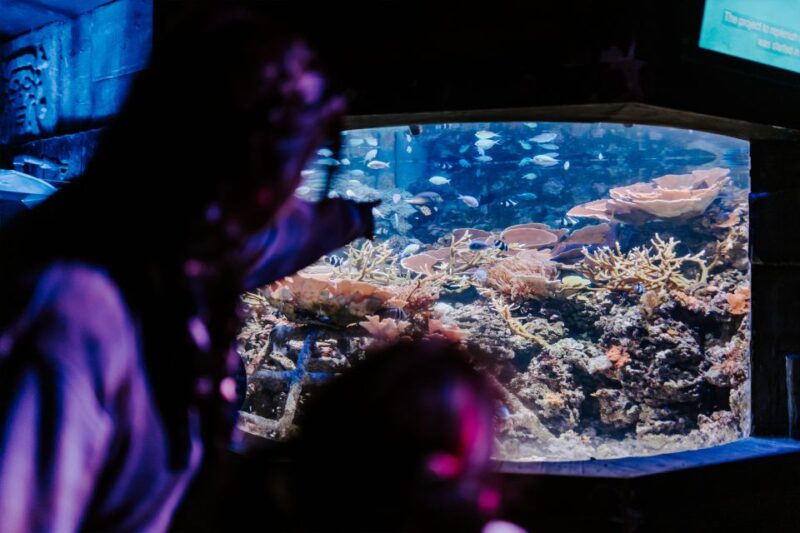 Sea Life Weymouth Admission Ticket - Included Amenities