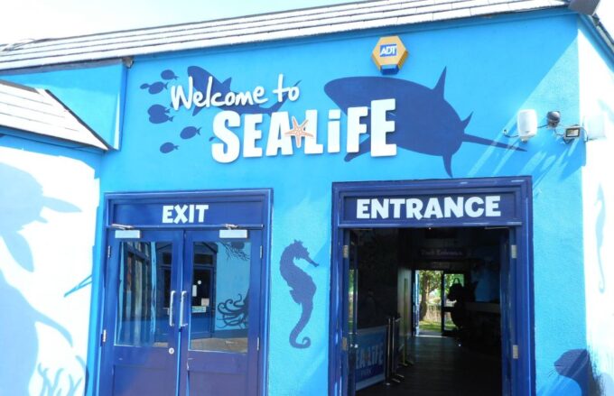 Sea Life Weymouth Admission Ticket - Restrictions and Rules