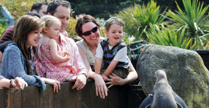 Sea Life Weymouth Admission Ticket - Getting to Sea Life