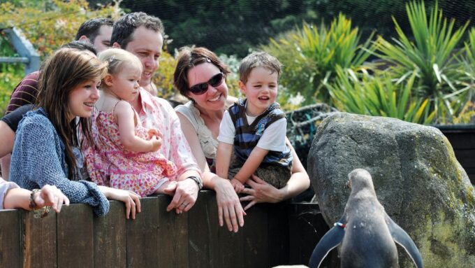 Sea Life Weymouth Admission Ticket - Recap