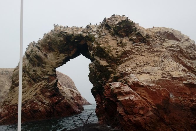 Sea Lions !!! Experience in the Ocean - Preparing for the Adventure