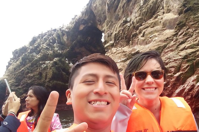 Sea Lions !!! Experience in the Ocean - Interacting With the Sea Lions