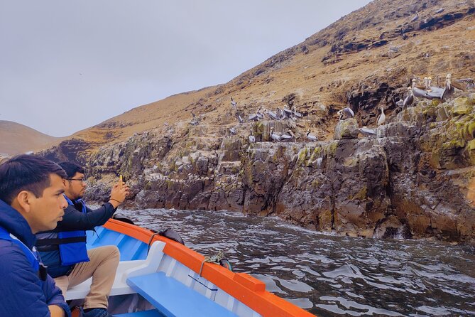 Sea Lions Sightseeing & ATV off Road Adventure From Lima - Exploring Pucusanas Sea Life