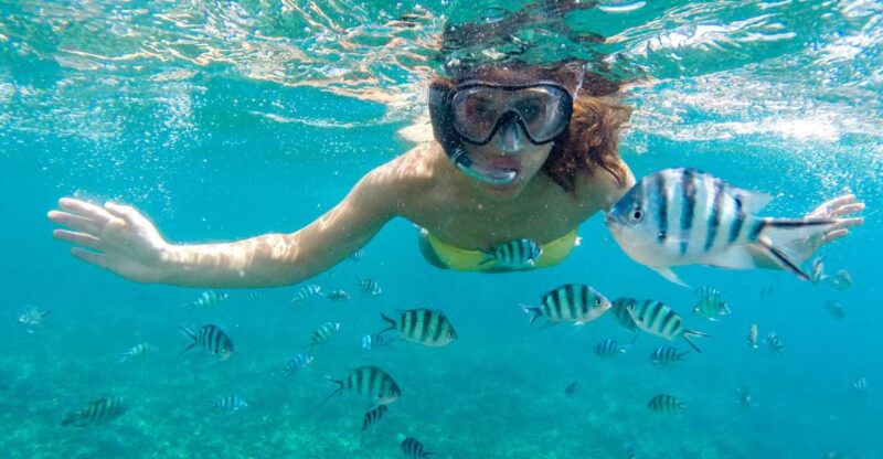 Sea-nic, Sip N' Snorkel on a Semi-Submersive Seacraft - Key Points