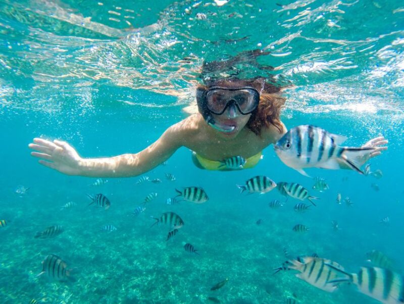 Sea-nic, Sip N' Snorkel on a Semi-Submersive Seacraft - Inclusions and Exclusions