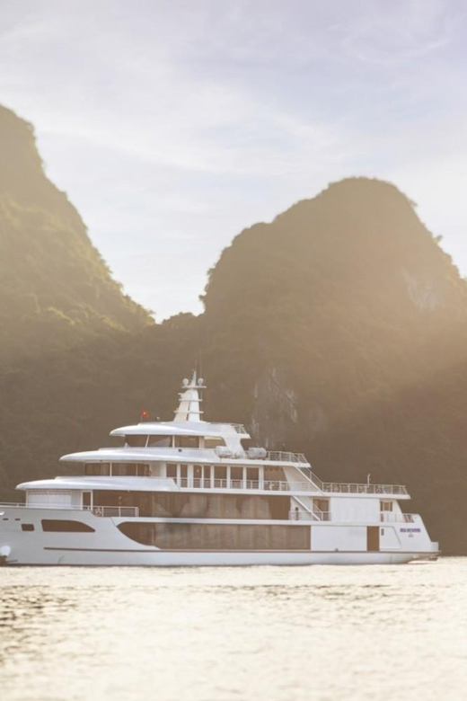 Sea Octopus Cruise - The Top Luxury Day Tour in Halong Bay - Key Points