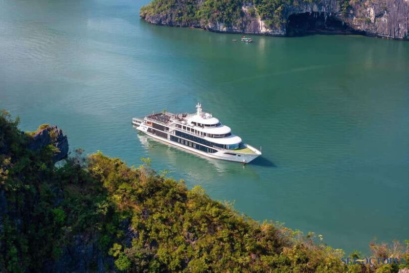 Sea Octopus Cruise - Top Luxury Day Tour Explore Halong Bay - Tour Overview and Pricing