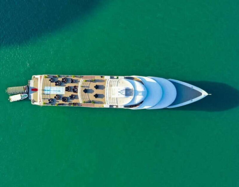 Sea Octopus Cruise - Top Luxury Day Tour Explore Halong Bay - Booking and Reservations