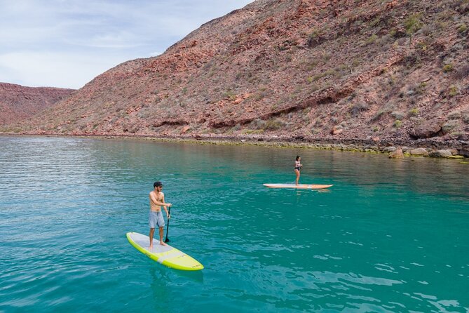 Sea of Cortez Day Adventure Activity With Snorkel and Paddleboard in La Paz - Reviews and Feedback