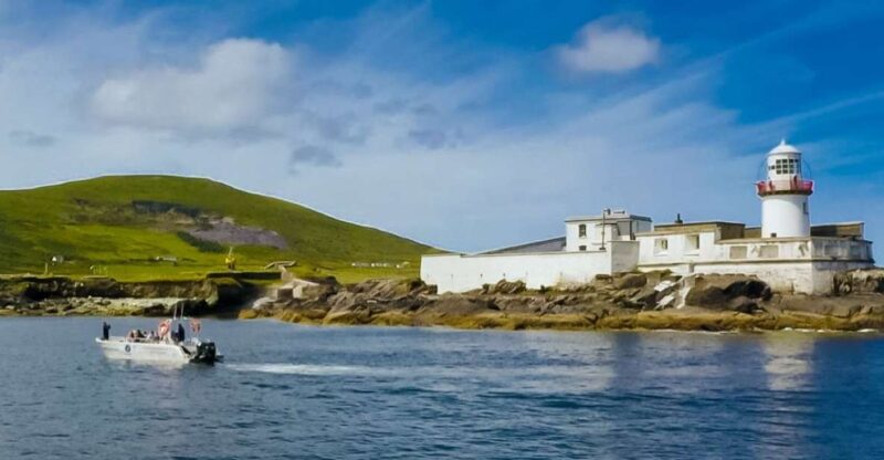 Sea Safari & Adventure : The Valentia Island Experience - Experience and Itinerary