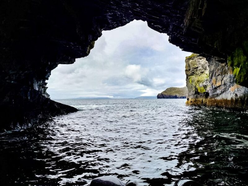 Sea Safari & Adventure : The Valentia Island Experience - Wildlife Sightings