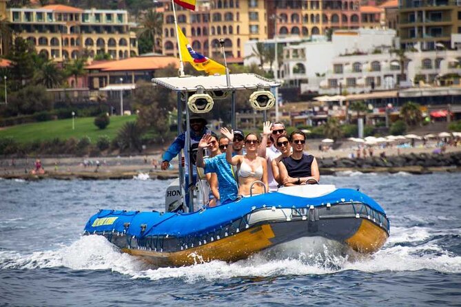SEA Safari, Dolphins, Whales, Snorkeling, Snack and Drink, 2 H Speedboat - Location and Meeting Details