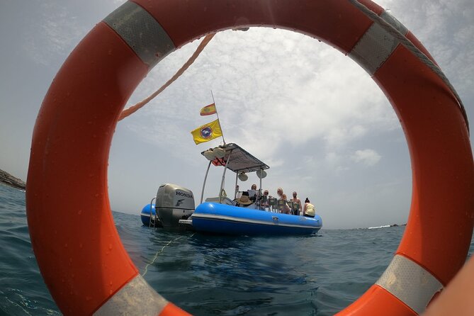 SEA Safari, Dolphins, Whales, Snorkeling, Snack and Drink, 2 H Speedboat - Highlights of the Tour