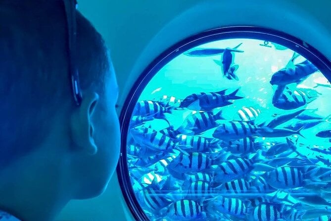 Sea Scope Semi Submarine Sea Trip & Diver Show With Transfer - Marsa Alam - What to Expect During the Excursion