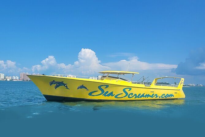 Sea Screamer Clearwater's Only Speed Boat Dolphin Watching - What to Expect from the Itinerary