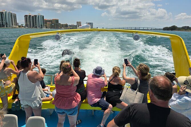 Sea Screamer Clearwater's Only Speed Boat Dolphin Watching - Who Will Love This Tour?