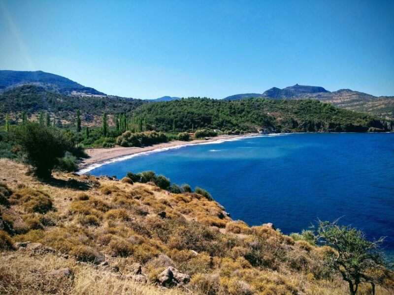Sea, Sun and Swimming Cruise From Mytilene - Inclusions and Exclusions