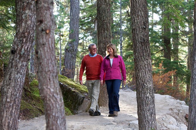 Sea to Sky Gondola Ticket - Exploring at Your Own Pace