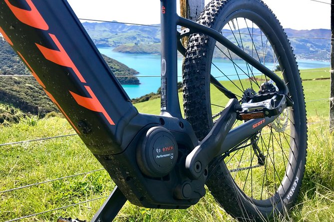 Sea to Summit- Electric Mountain Biking Tour in Akaroa - Inclusions