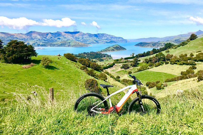 Sea to Summit- Electric Mountain Biking Tour in Akaroa - Additional Information