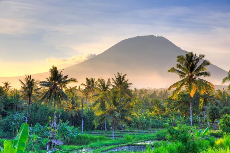 Sea to Summit Trekking Adventure on Mount Agung - Highlights and Activities