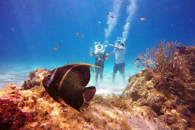 Sea Trek Adventure at Chankanaab National Park - Health and Safety Guidelines