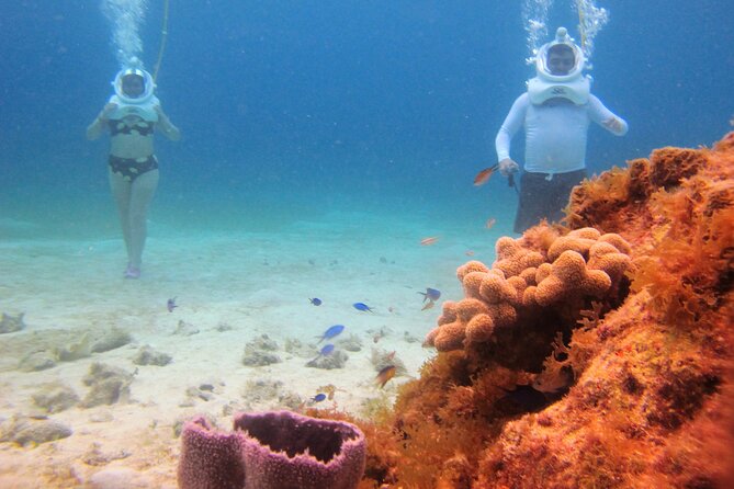 Sea Trek Adventure at Chankanaab National Park - Customer Feedback and Concerns