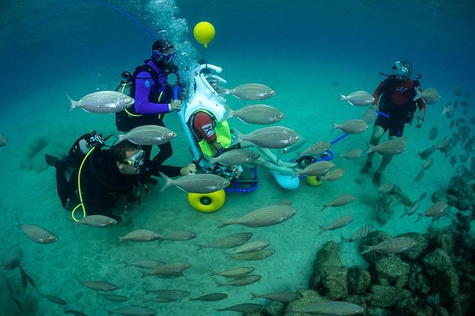 Sea Trek and Diving for Handicaped People - Quick Points