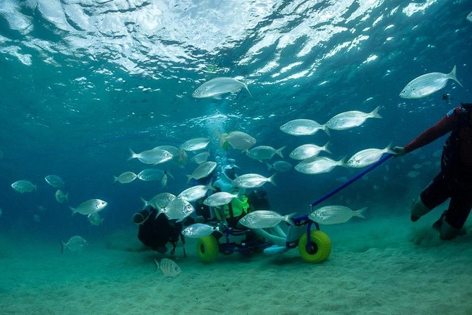 Sea Trek and Diving for Handicaped People - Inclusion of Equipment and Extras