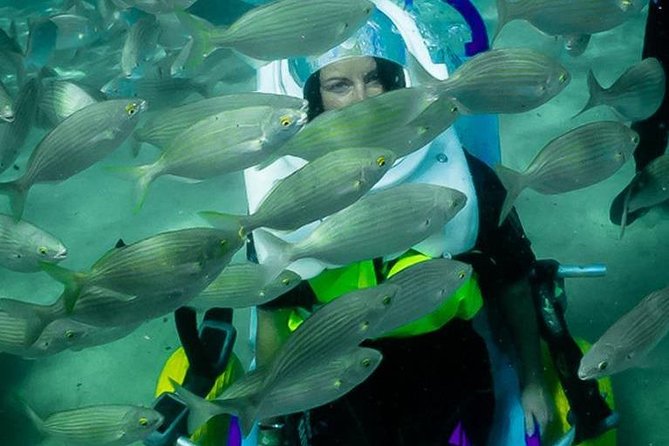 Sea Trek and Diving for Handicaped People - Safety Considerations for Participants