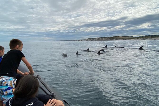 Sea Trip Along the Basque Coast, Departure From Saint-Jean-De-Luz - Knowledgeable and Experienced Skipper