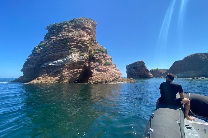 Sea Trip Along the Basque Coast, Departure From Saint-Jean-De-Luz - Value for Money Experience