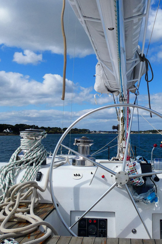 Sea Trip on a Maxi Catamaran (Trinité-Sur-Mer/Houat) - Key Points