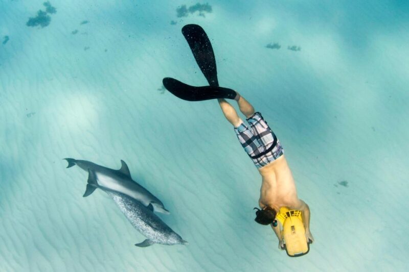 Sea Turtle Jet Snorkeling With Videos - Highlights and Experience