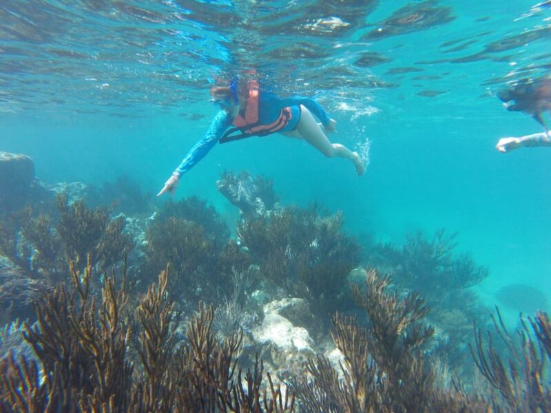 Sea Turtle Tour - Environmental Commitment