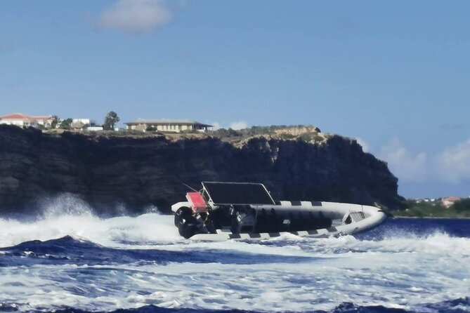 Sea Turtles and Blue Room Adventurous Powerboat Tour - Guest Feedback and Reviews