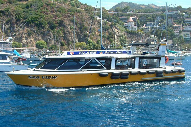 Sea View Glass Bottom Boat Excursion - An Honest Look at the Sea View Glass Bottom Boat Excursion