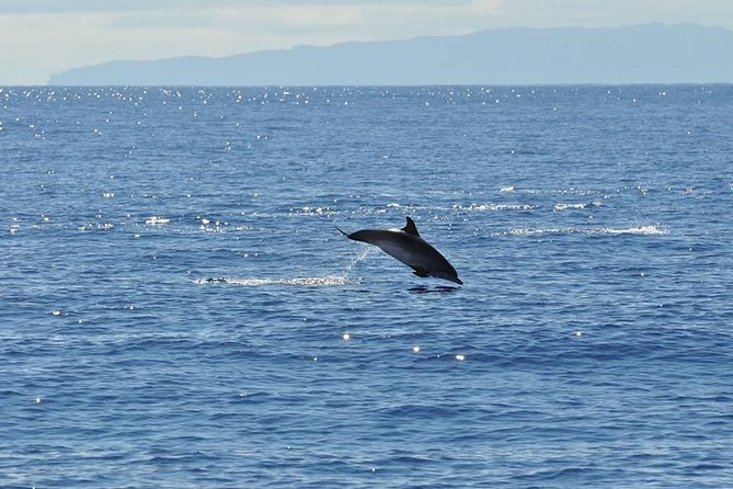 Seaborn Catamaran Trips - Activity Duration and End Location