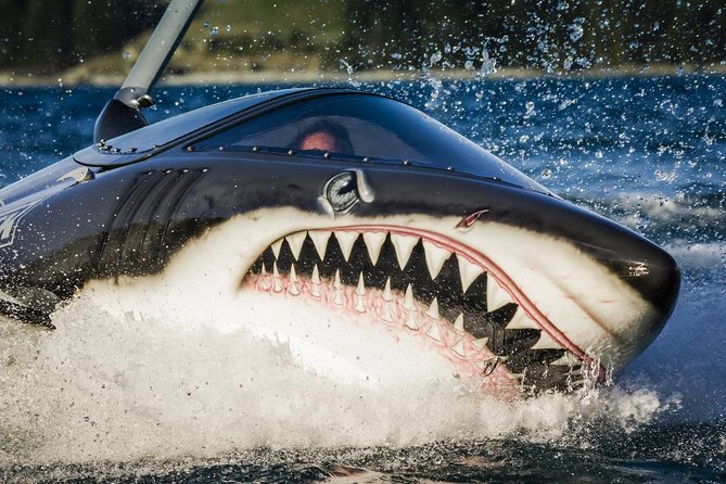 Seabreacher Ride in Cancun - Tour Details