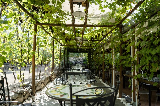 Seafood Lunch With Wine Tasting & Tour on a Golf Cart - Wine and History