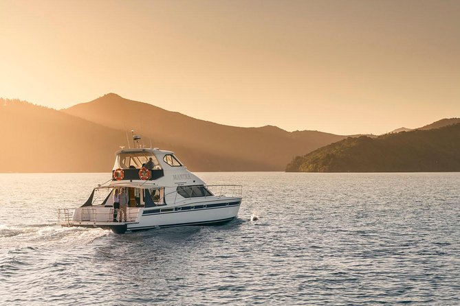 Seafood Odyssea Marlborough Sounds Cruise From Picton - Seafood and Wine Tasting