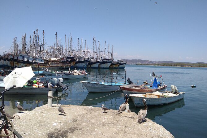 Seafood Secret Tour in Mazatlan - Who Will Love This Tour?