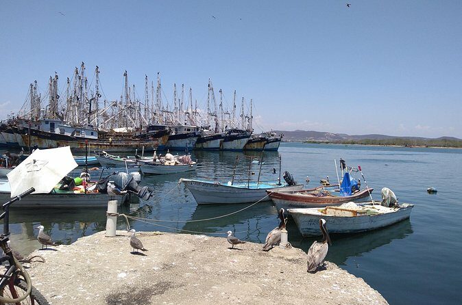 Seafood Secret Tour in Mazatlan - Practical Details and Tips