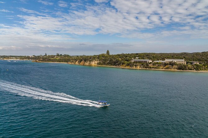 Seal and Dolphin Watching Eco Boat Cruise Mornington Peninsula - Meeting and Departure Information