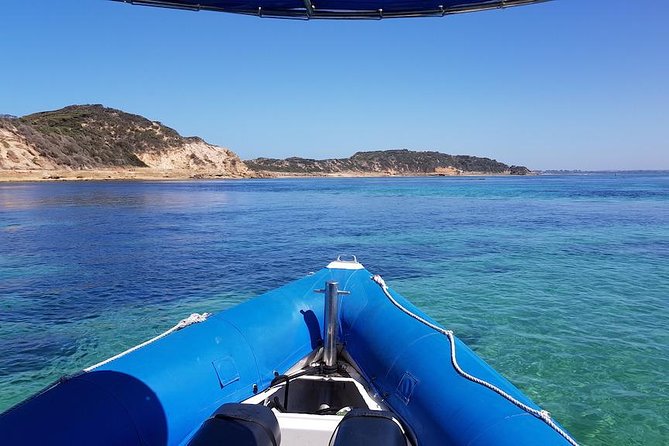 Seal and Dolphin Watching Eco Boat Cruise Mornington Peninsula - Exploring Mornington Peninsulas Natural Landscape