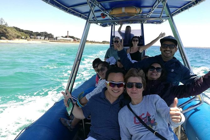 Seal and Dolphin Watching Eco Boat Cruise Mornington Peninsula - Spotting Wildlife on the Boat Tour