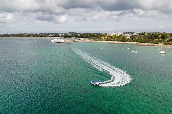 Seal and Dolphin Watching Eco Boat Cruise Mornington Peninsula - Family-Friendly Experience and Flexible Departure Times
