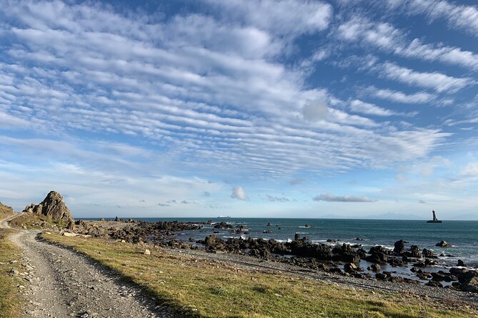 Seal Coast Safari Tour by 4WD - Knowledgeable and Friendly Guides